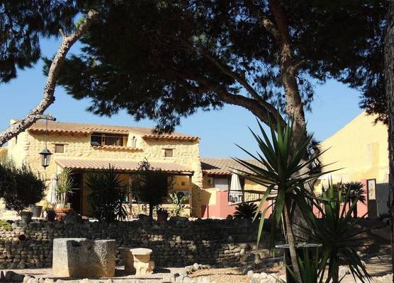 The Olive Mill 1