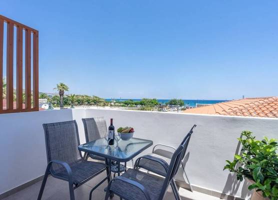 Bivalvia Beach Plus 1