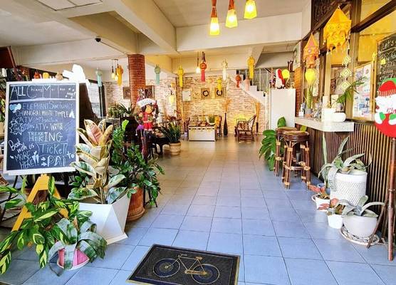 Bed and Terrace Guesthouse Chiang Mai 1