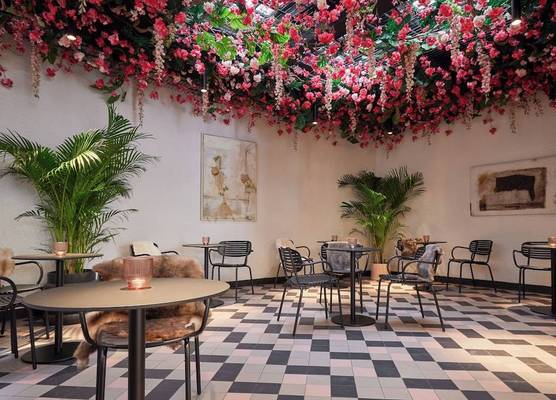 Rosa Hotel 1