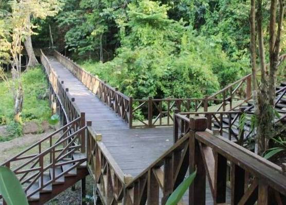 Tabin Wildlife Resort 1