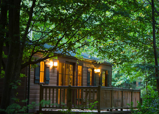 Disney Davy Crockett Ranch + Tickets 1