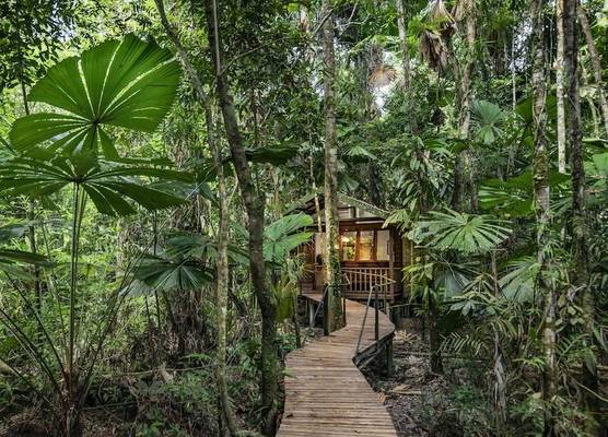 Daintree Wilderness Lodge 1