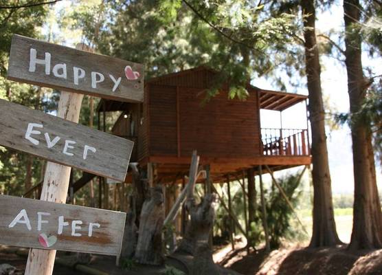 Vindoux Tree House Guest Farm & Spa 1