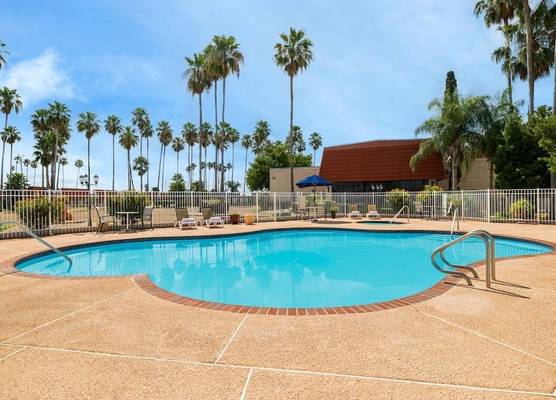 Victoria Palms Inn and Suites 1