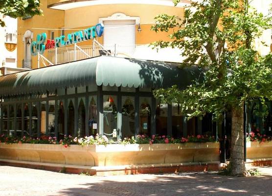 Hotel Dei Platani 1