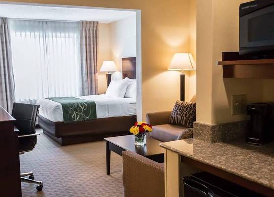 Comfort Suites University Area Notre Dame-South Bend 1