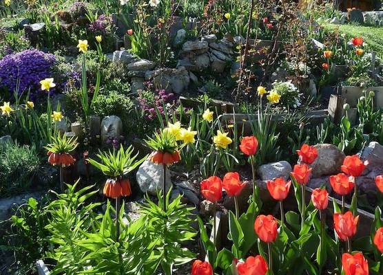 Le Jardin Fleuri 1