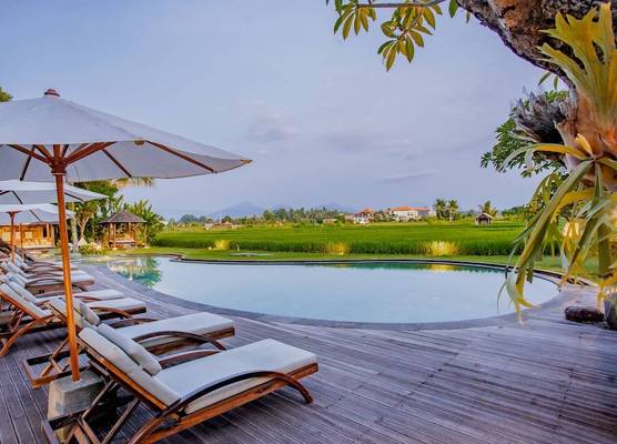 Arya Villas Ubud 1