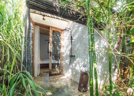 Bamboo Zanzibar 1