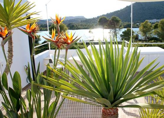 BEACH INN Apartment 1