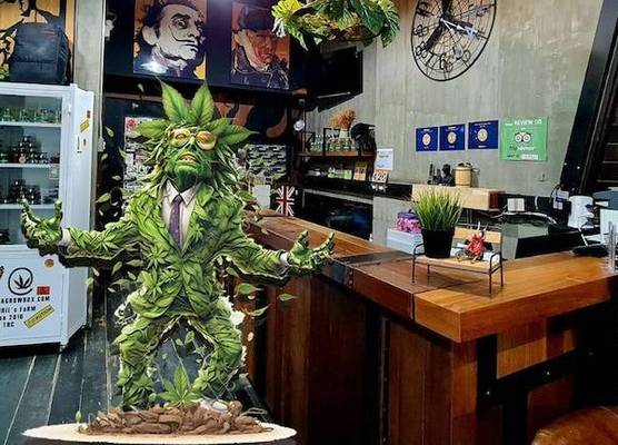 Rent V38 #420 friendly Thailand 1