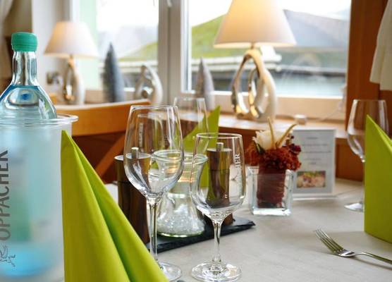 Hotel Elbparadies 1