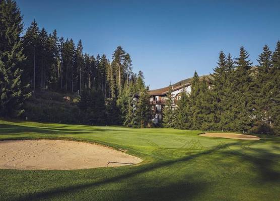 Hotel Waldhuus Davos 1