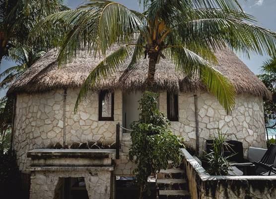 NEST Tulum 1