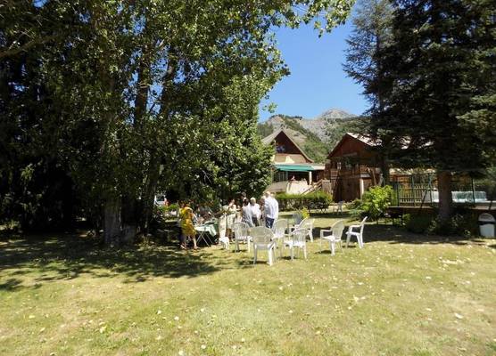 Le Vieux Tilleul 1