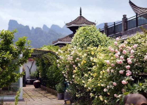 Wang Yun Residence Boutique Homestay 1