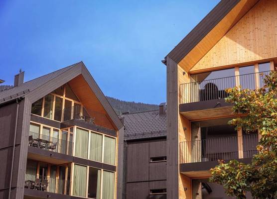 Montafon Suites Schruns by ALPS RESORTS 1
