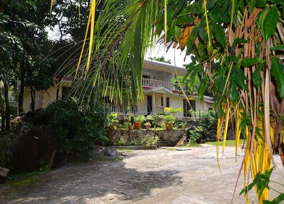 Forest Lodge 1
