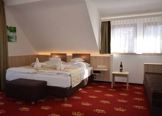 Wellness Hotel Garni Krone 1