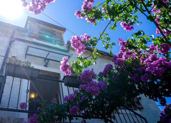 Villa Marino 1