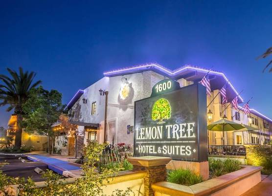 Lemon Tree Hotel and Suites 1