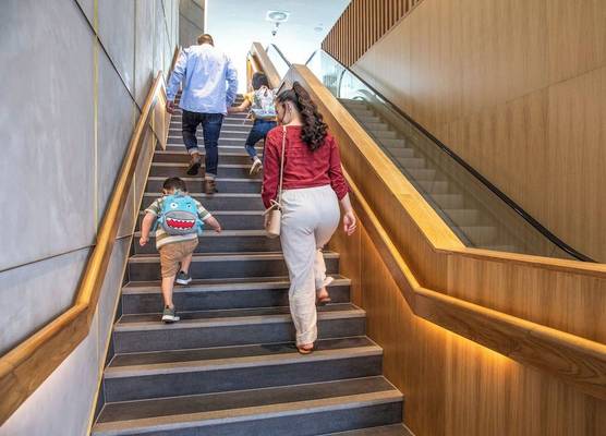 Holiday Inn Express AUCKLAND CITY CENTRE by IHG 1