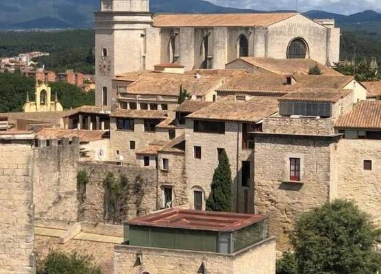 AS Palau dels Alemanys Suites Boutique Monument 1