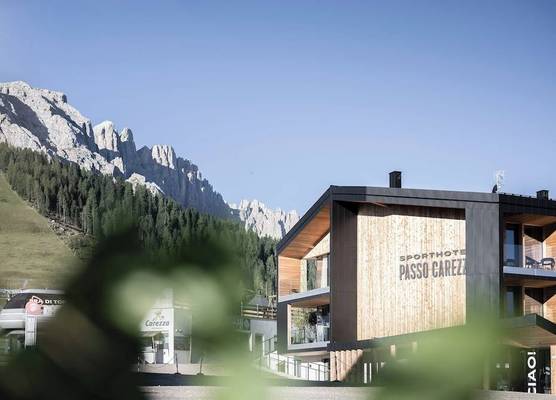Sport Hotel Passo Carezza 1