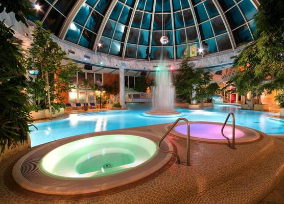 Vital Hotel Westfalen Therme Wellness Resort & SPA 1