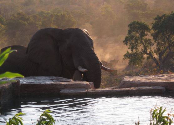 Makumu Private Game Lodge 1