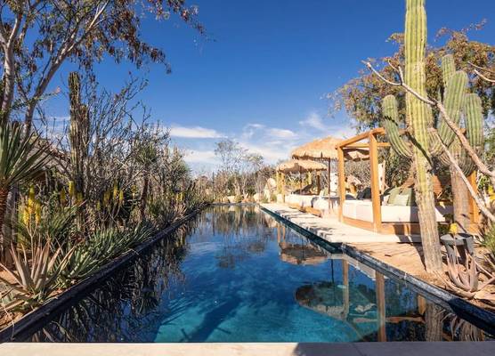 El Perdido Desert Dream- Todos Santos Adults Only 1