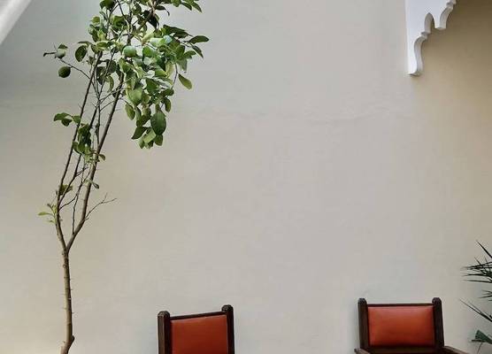 Riad Imndi 1