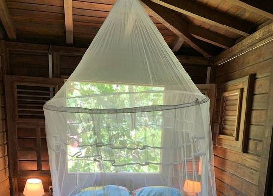 ecolodge Martinique 1