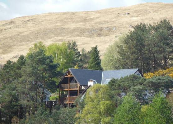 Treetops B&B 1