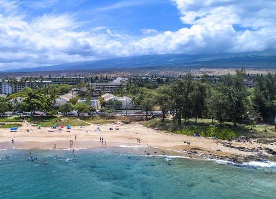 AEI at Maui Banyan 1
