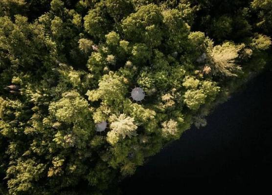 Hôtel UNIQ - Forêt Ô Cascades - Tentes Glamping 1