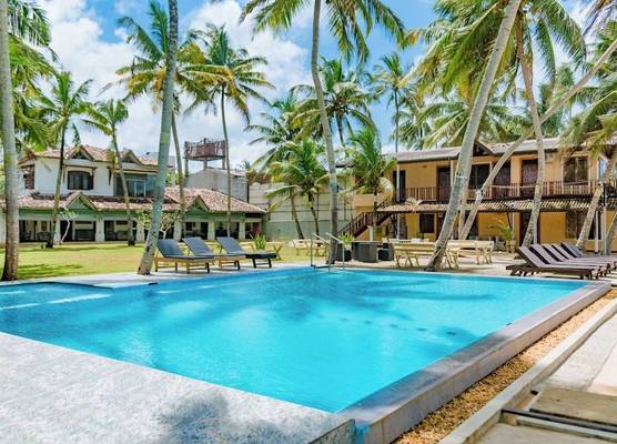Amor Beach Unawatuna 1
