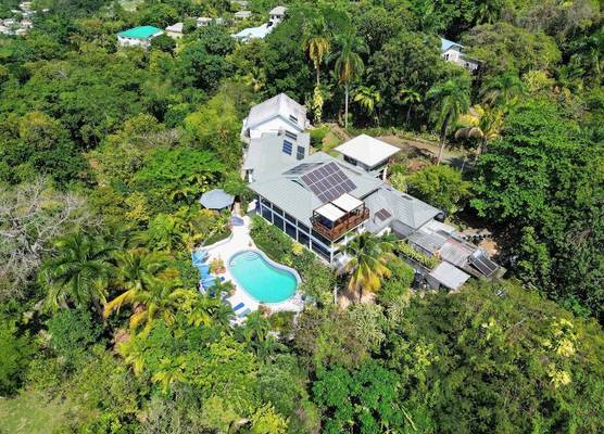 LF Jungle Retreat 1