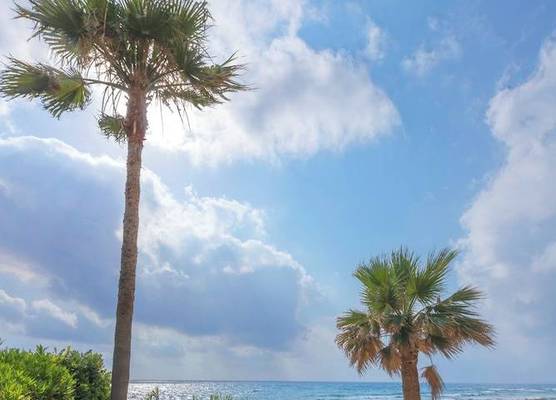 Resitour - Apollo Beach Villas 1