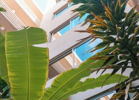 Las Rochas Mindelo Aparthotel 1