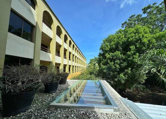 Hotel Casa Colonial Cozumel-Dog Friendly 1