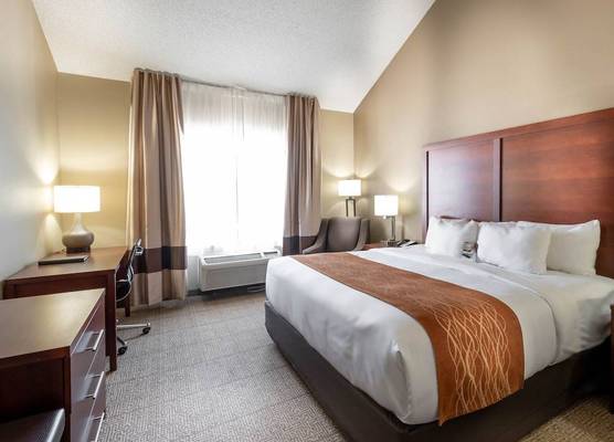 Comfort Inn & Suites Love Field-Dallas Market Center 1