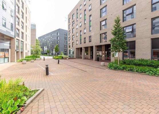 For Students Only Bryson Court 1