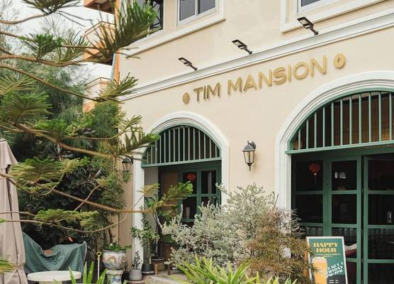 Tim Mansion 1