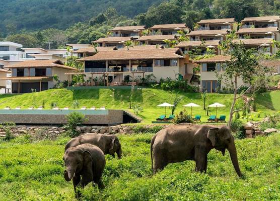 Wild Cottages Elephant Sanctuary Resort 1