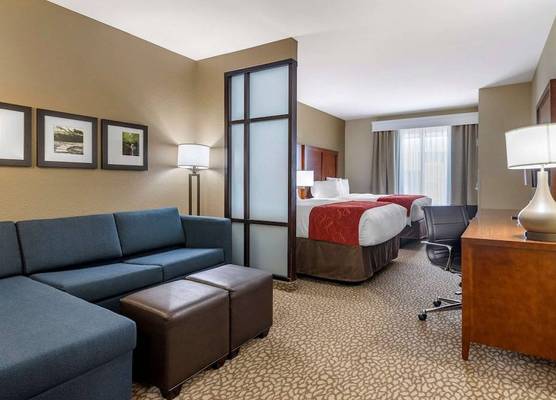 Comfort Suites Florence I-95 1