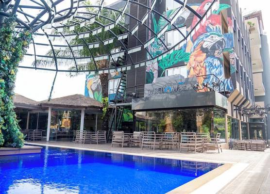 The Blowfish Hotel 1