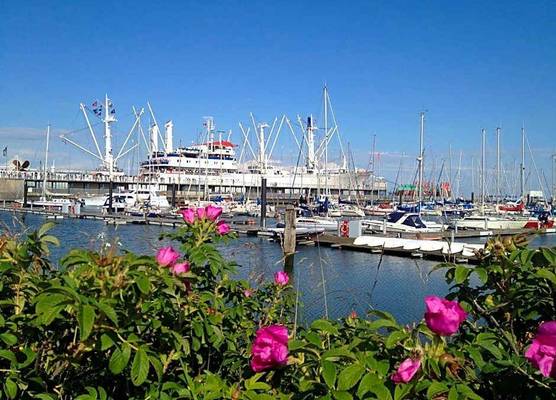 Moin Hotel Cuxhaven 1