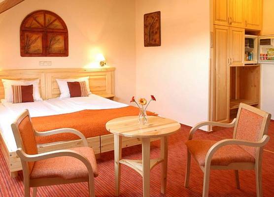 Hotel Manzard Panzio 1